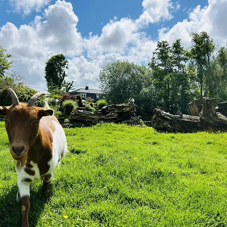 Casa de Férias Bungalowpark De Horn - 821