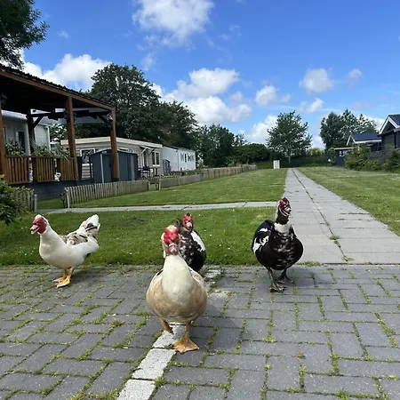 Bungalowpark De Horn - 821 Dirkshorn